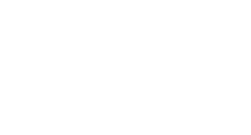 Pest Defense Solutions Logo vert W